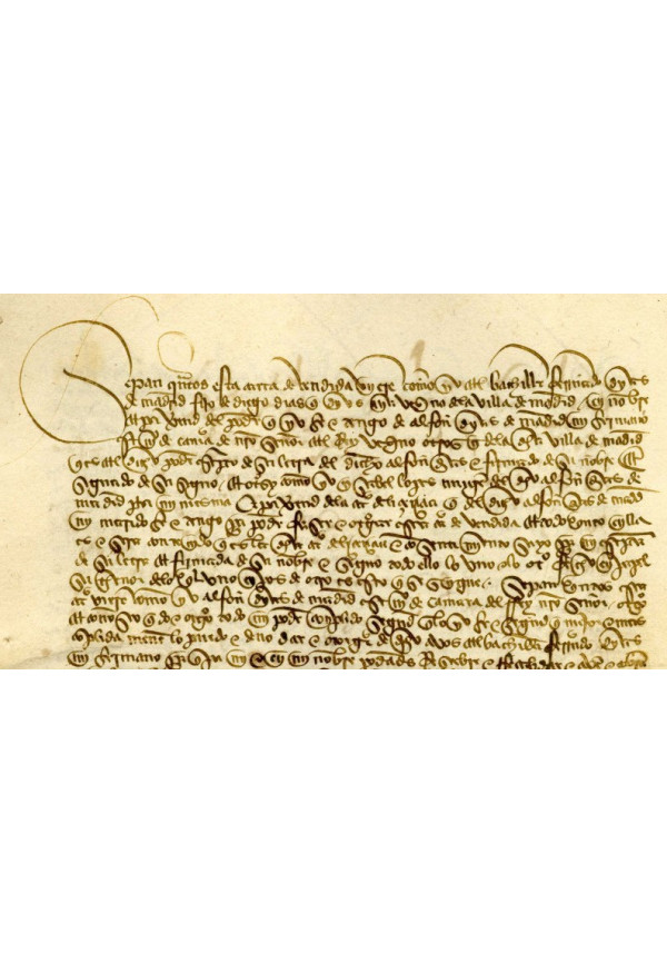 Paleografía: letras cortesana y procesal encadenada